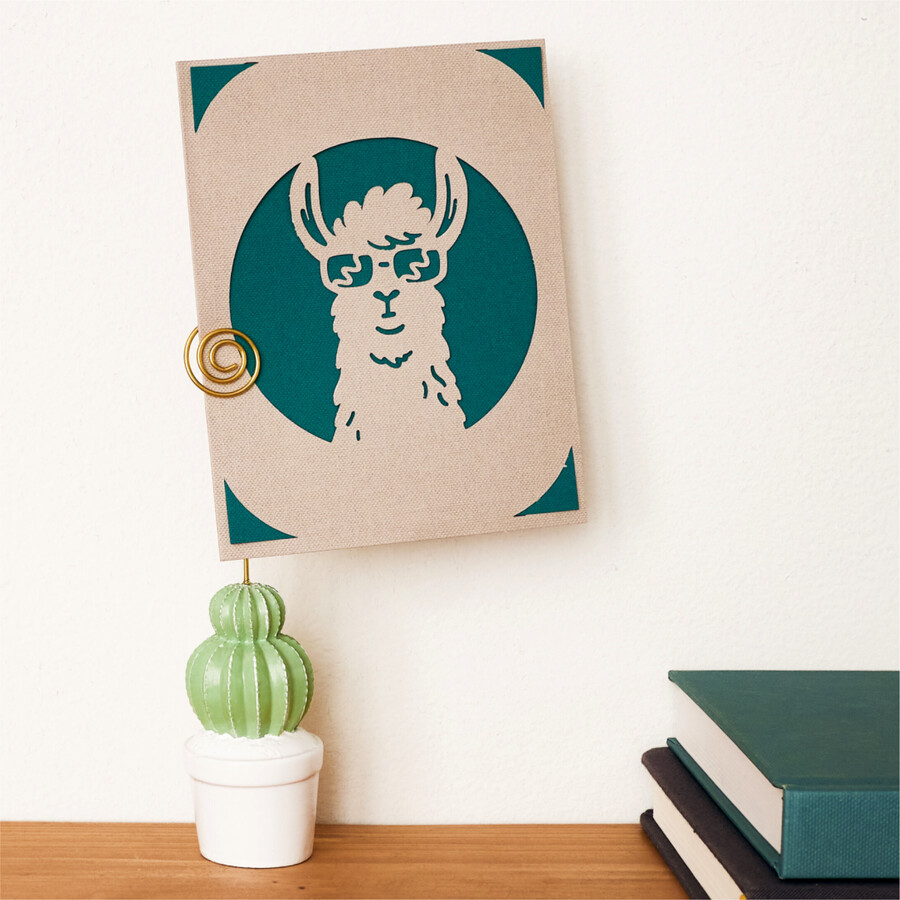 cricut joy label making bundle