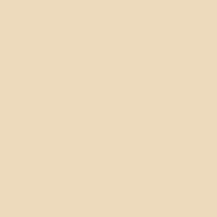 premium vinyl sampler everyday - removable