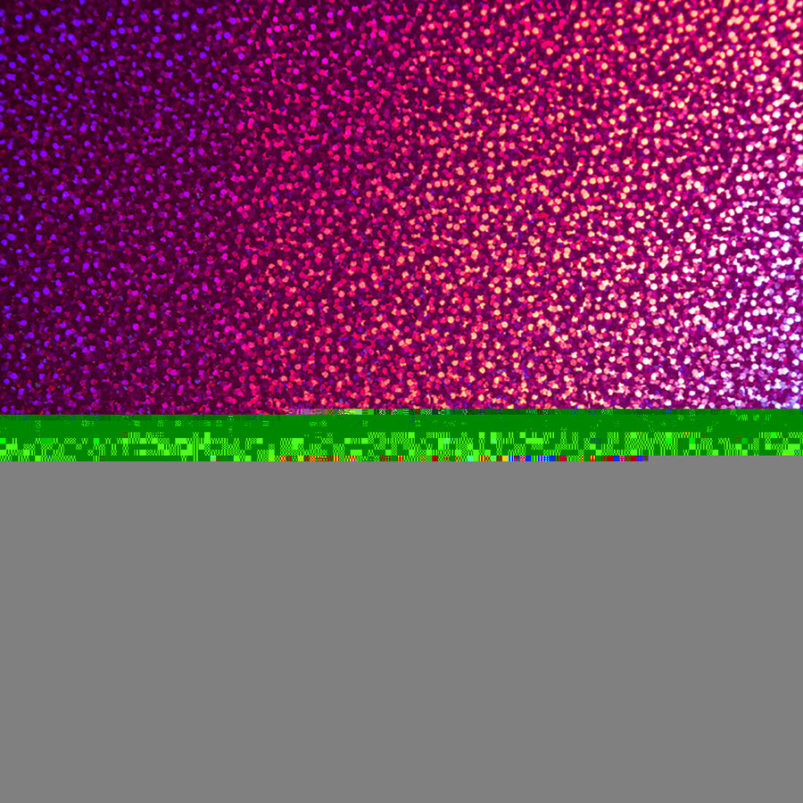 premium vinyl holographic sparkle sampler sensei - permanent