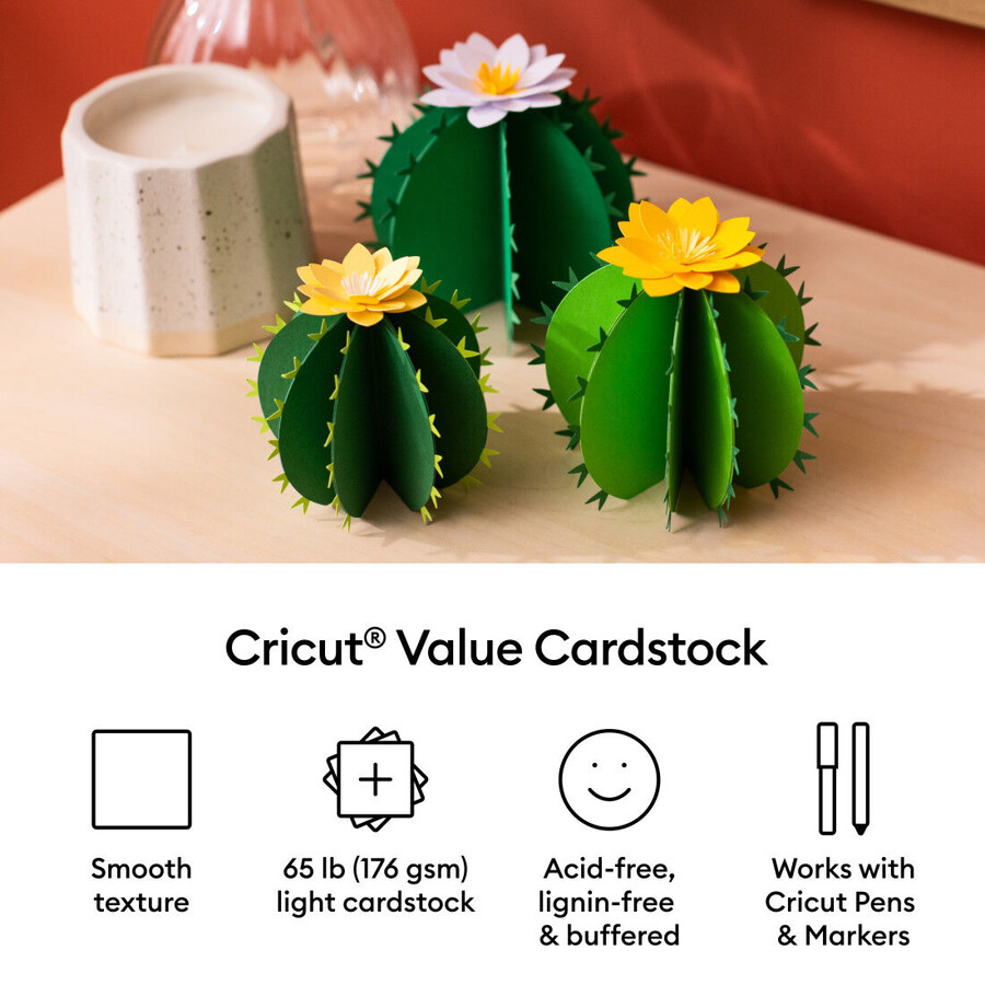 value cardstock botanicals sampler - 8.5 in x 11 in 80 ct